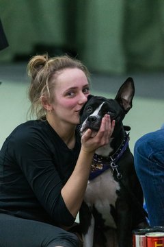 Bild 156 - RL CadA - DTV Hannover : Ergebnis: 6:0